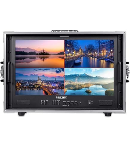 Amazon.co.jp: SEETEC P215 PRO-CO 21.5インチ1000nit高輝度携帯保護